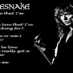 Whitesnake